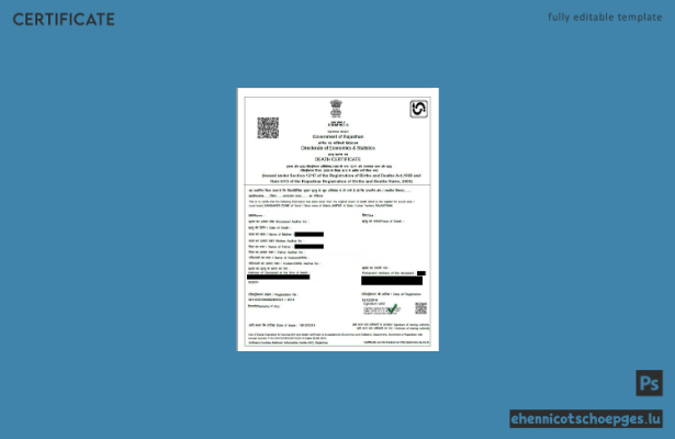 Beispiel einer Sterbeurkunde der Regierung von Rajasthan, Indien